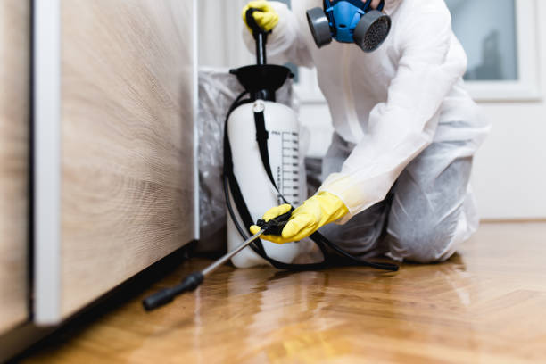 Best Pest Control for Restaurants  in Lamont, CA