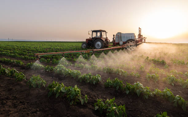 Best Pest Prevention Services  in Lamont, CA