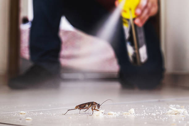 Pest Control for Restaurants in Lamont, CA